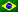Português do Brasil (br)